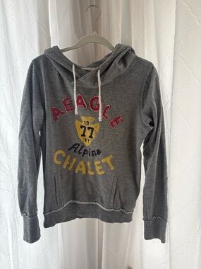 American Eagle Outfitters Gray Hoodie with Pink Embroidered Detail